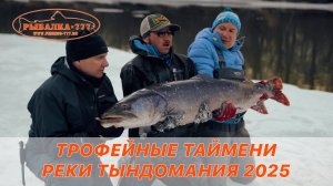 Трофейные таймени реки Тындомания 2025