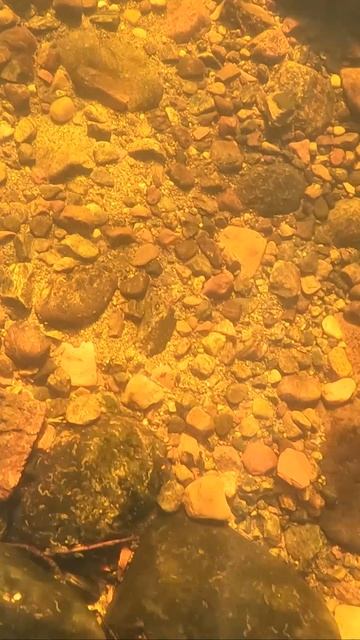 ОХОТА ЗА ПРИМАНКАМИ: ПОГРУЖЕНИЕ В ГЛУБИНЫ смотреть онлайн