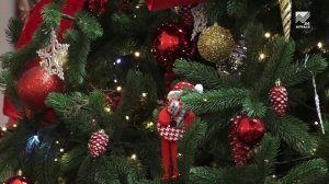 Во Дворце культуры Черкесска прошла новогодняя ёлка Главы КЧР для особенных детей