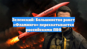 Зеленский признал беспомощность ракеты «Фламинго» против ПВО России