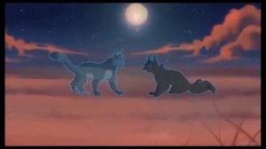 как происходит моменты в жизни  котах воителях.