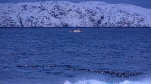 МИД РФ: США заинтересованы в совместном с Россией освоении Арктики