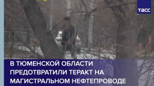 В Тюменской области предотвратили теракт на магистральном нефтепроводе