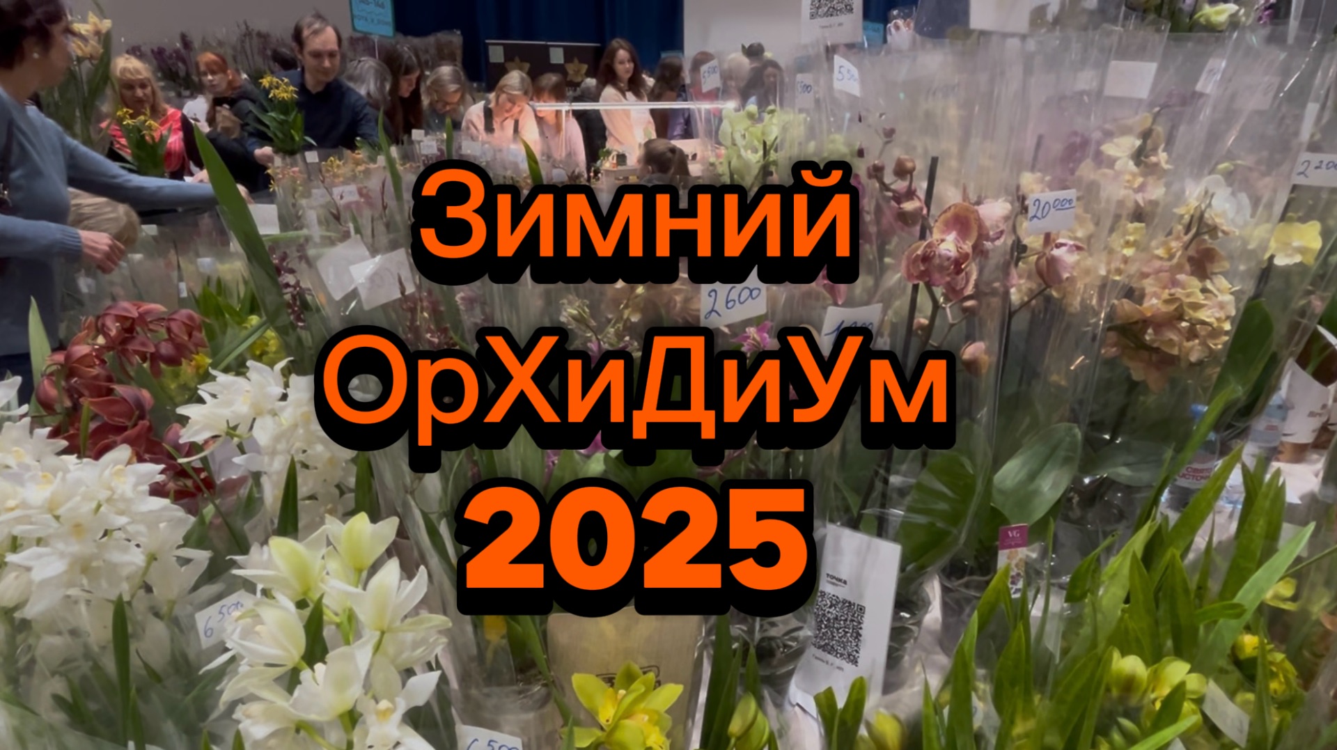 Зимний ОрХиДиУм 2025 ✅ #орхидиум смотреть онлайн