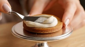 Рождественский Ужин для Кота 🎄 Праздничный Стейк с Гарниром | Christmas Cat Dinner #shorts