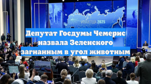 Депутат Госдумы Чемерис назвала Зеленского загнанным в угол животным