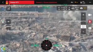 «Краснокнижный зверь» попался на Константиновке.