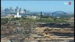 Сидней – старейший и сегодня крупнейший город Австралии