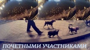 ПРИСОЕДИНЯЮТСЯ