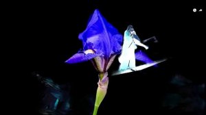 Диана Анкудинова - "Ворона" (ШоуМаскГоон 2021)