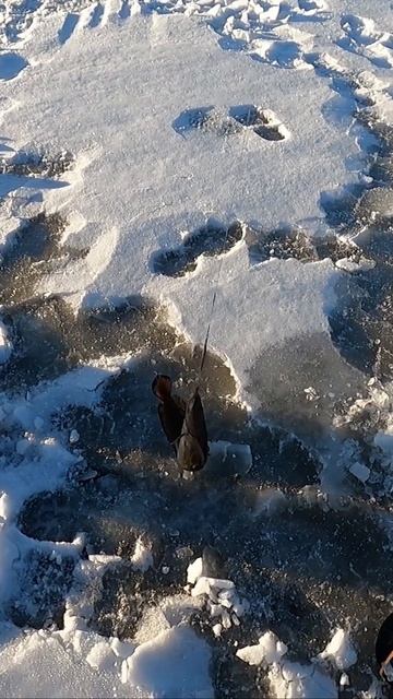 ХОРОШО ДАВАНУЛ смотреть онлайн