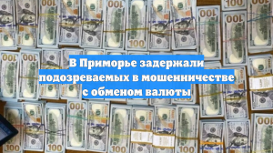 В Приморье задержали подозреваемых в мошенничестве с обменом валюты