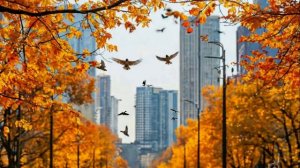 Люблю я музыку дождя