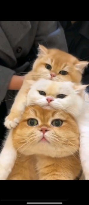 да нового года