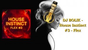 DJ BOLIK - House Instinct #3 - Flex
