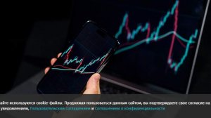 Торги в секции срочного рынка на Петербургской бирже приостановлены