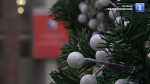 Новогодние ели «выросли» у здания Правительства Севастополя
