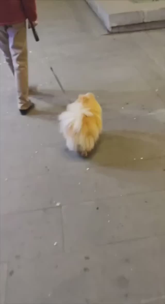 Everything I do. #armenia #music #cavdtanem #steps #iarmen