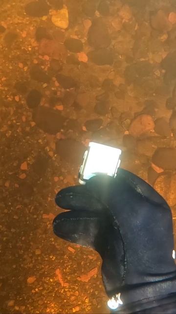 РЕЧНЫЕ СОКРОВИЩА смотреть онлайн