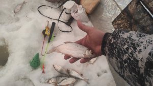 Плотва в глухозимье. Рыбалка в комфорте.