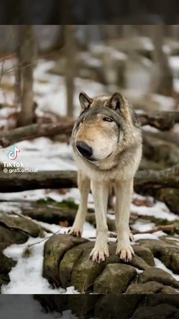 брат, запомни😉 смотреть онлайн