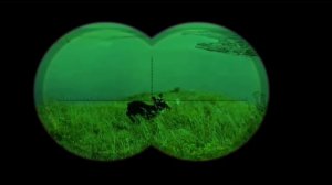 Детский садик для собак у кинолога. Игорь Алтайский.