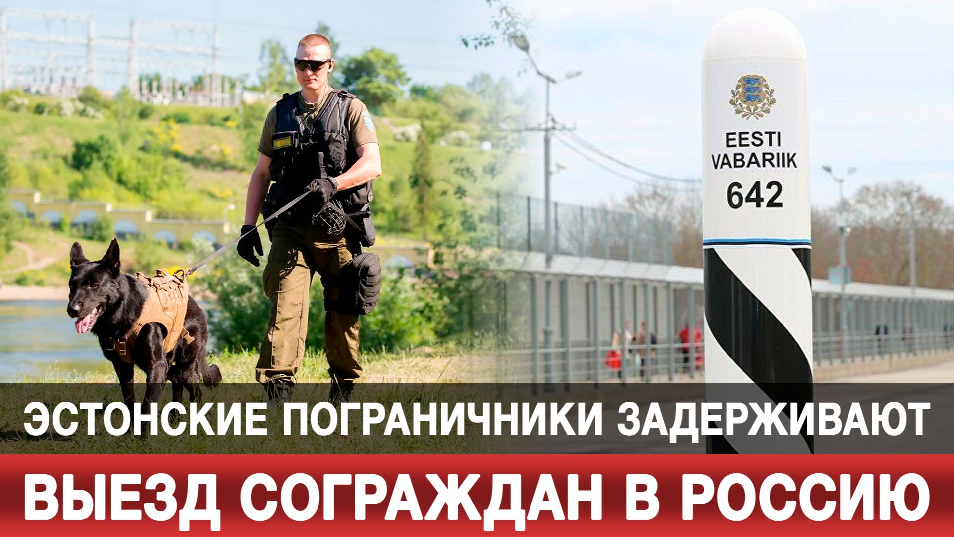 Эстонские пограничники задерживают выезд сограждан в Россию смотреть онлайн