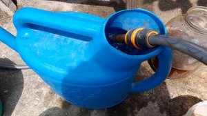 Способ выращивания арбузов без грядки и химии.