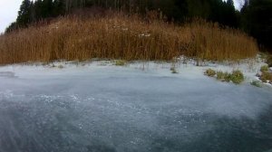 Первый лед тает на глазах.Рыбалка на жерлицы по первому льду.