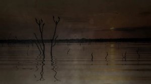 01 - Laura Marling - What He Wrote (Anfermond Remix)