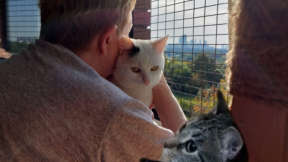 Мне 73 года. Замучили на работе смотреть онлайн