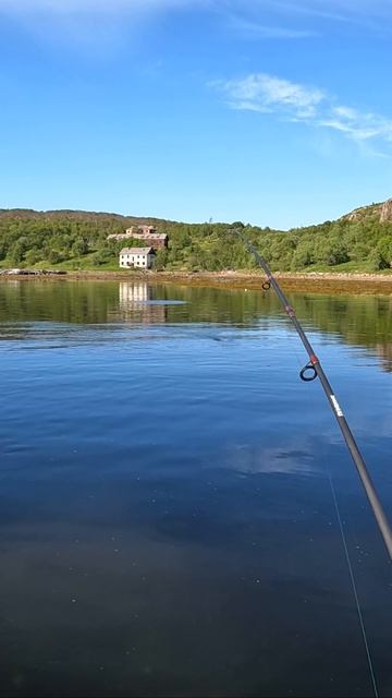 ГОРБУША ПОШЛА смотреть онлайн