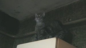 MelomanicaTV представляет : Фильм Сергея РАzoom Фокина "Люди не отсюда". 2012 год. HDRip.