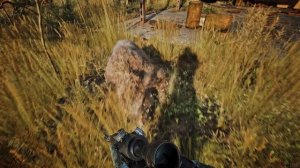 20251127 - S.T.A.L.K.E.R. 2 Master Difficulty Gameplay (RTX 5090) - Immersive Realistic Gameplay - 4