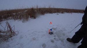 Рыбалка на жерлицы, отличный клев декабрь 2025г