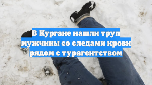 В Кургане нашли труп мужчины со следами крови рядом с турагентством