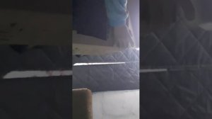 коллекция монет