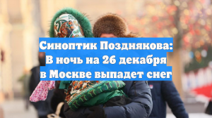 Синоптик Позднякова: В ночь на 26 декабря в Москве выпадет снег