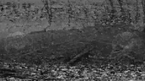 расчёты «Акробат» и «Марс».