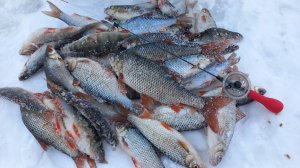 Рыбалка мечты.