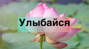 video-output-473EBC76-7F15-418F-B66D-F2BDA61E5214-1