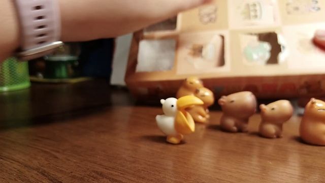 Одвент календарь с капибарами🦫🦫🦫 смотреть онлайн