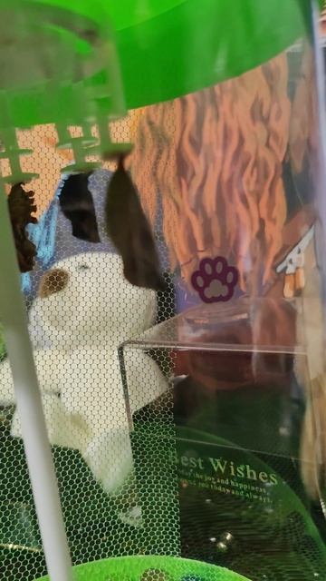 день 2 смотреть онлайн