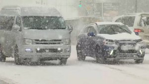 ЦИКЛОН ЖДАЛИ? | Новости Камчатки | Масс Медиа