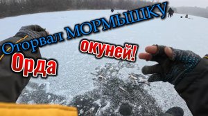 Наловили кучу ОКУНЕЙ. Увидели РЫБАКА-ЭКСТРЕМАЛА!