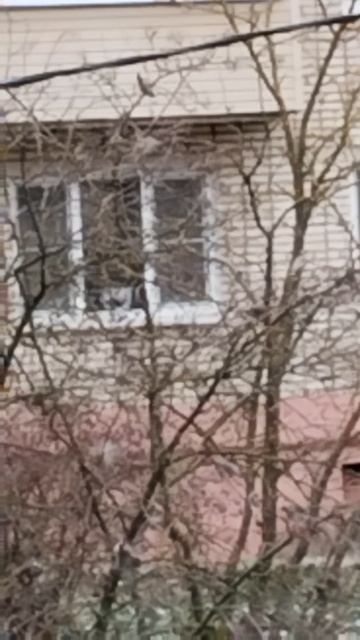 PXL_20251225_141818208