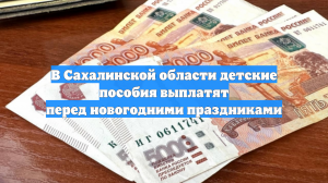 В Сахалинской области детские пособия выплатят перед новогодними праздниками