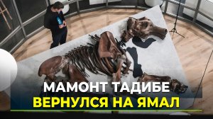 В Салехард доставили важный экспонат