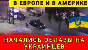 Начались облавы на украинце в Европе и Америке. Колобок из Одессы 25.12.2025
