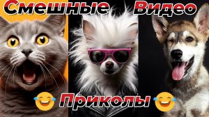 Смешные видео приколы|Коты и собаки|Юмор и Приколы.